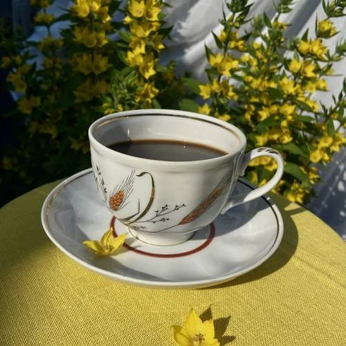 Photo #13702339