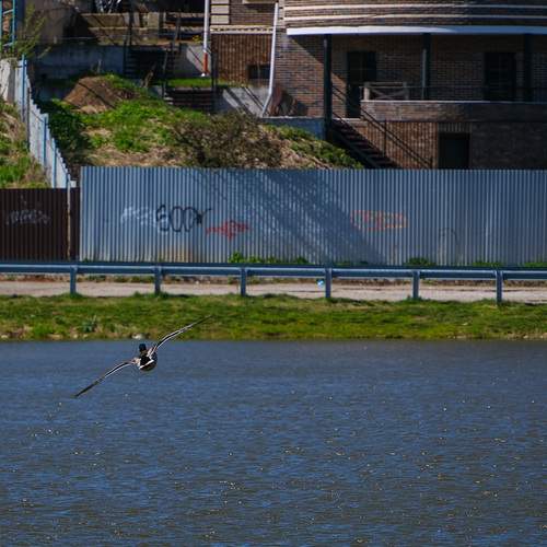Photo #13702341