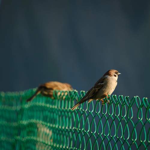 Photo #13702343