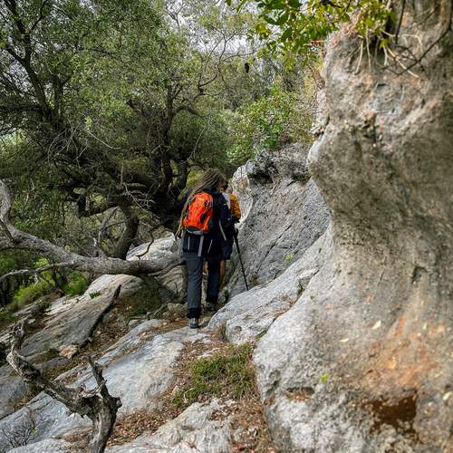 Photo #13702374