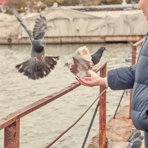 Photo #13702393