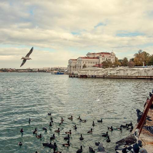 Photo #13702400