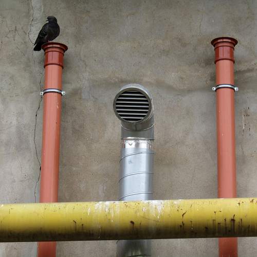Photo #13702467
