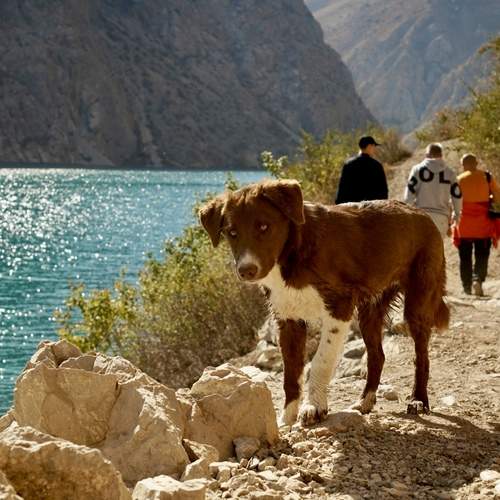 Photo #13702468