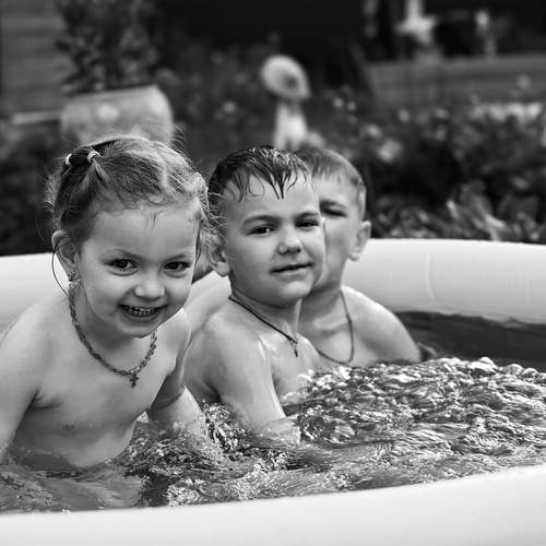 Photo #13702571