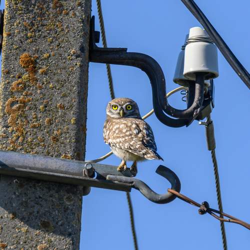 Photo #13702586