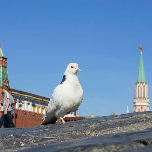 Photo #13702613