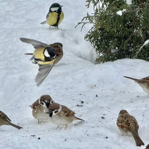Photo #13702620