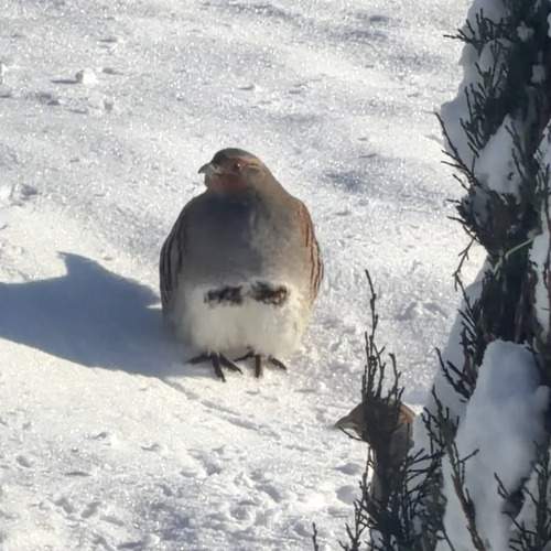 Photo #13702621