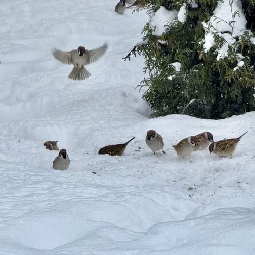 Photo #13702622
