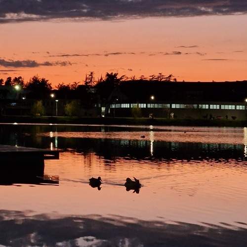 Photo #13702635
