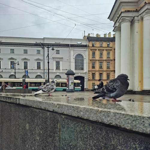 Фотография #13702648