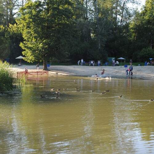 Photo #13702672