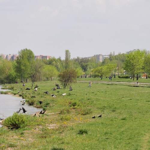 Photo #13702673