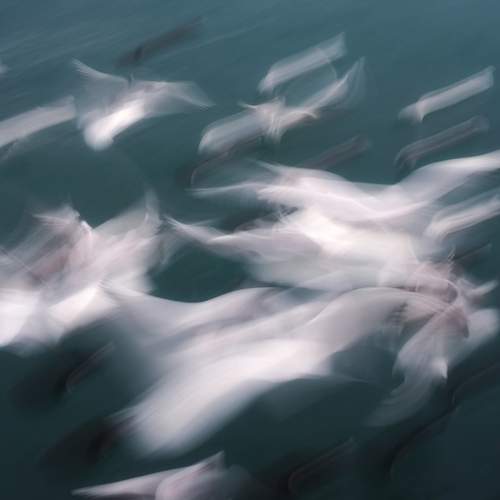 Photo #13702676