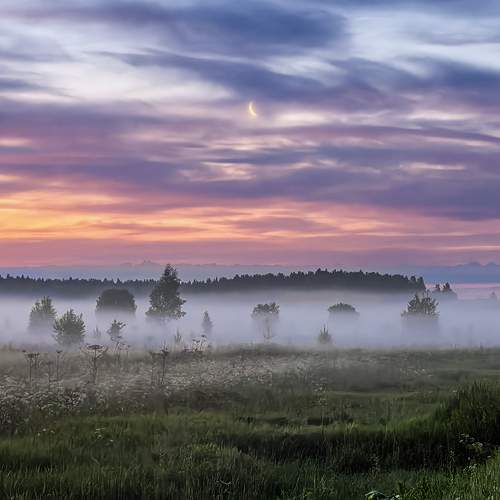 Photo #13702700