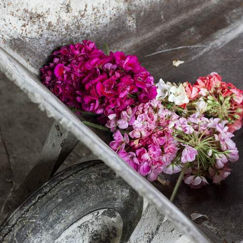 Photo #13702717