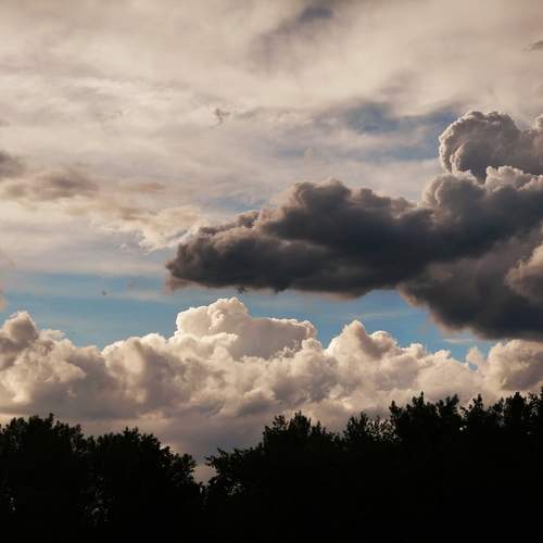Photo #13702737