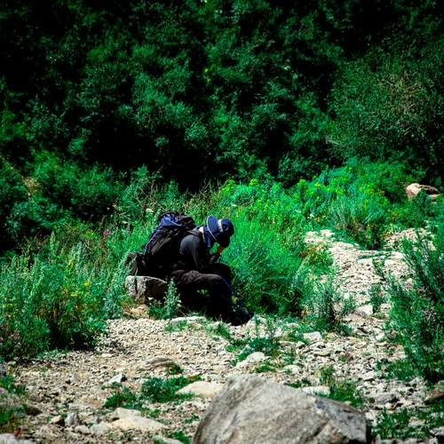 Photo #13702772