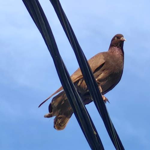 Photo #13702779