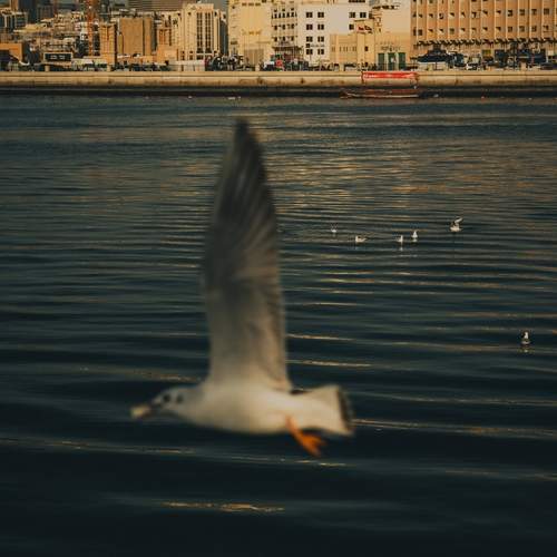Between the city and the sea