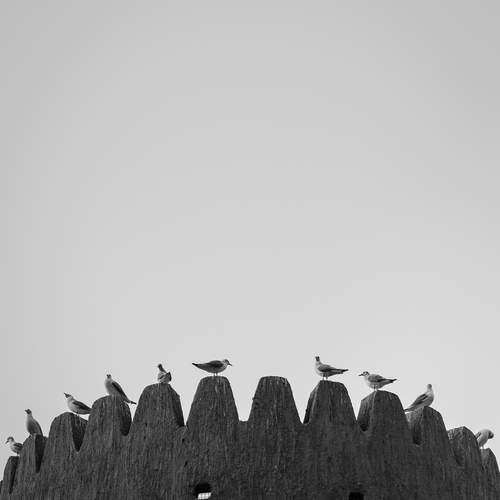 Guardians of the Skyline