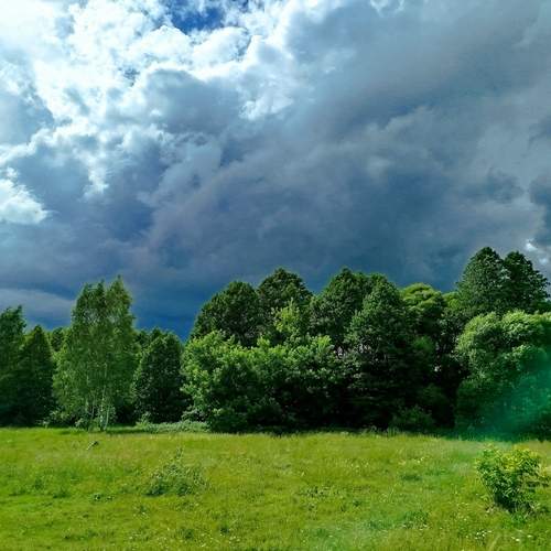 Photo #13702851