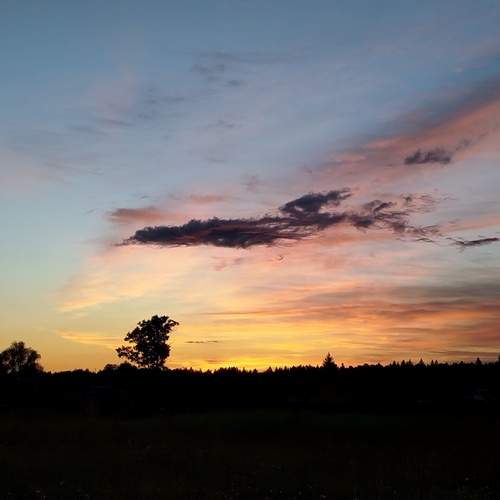 Photo #13702853