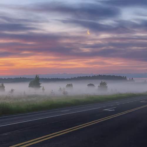 Photo #13702865