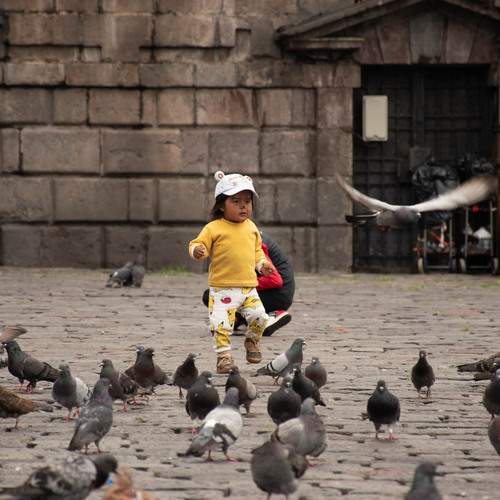 Photo #13702887
