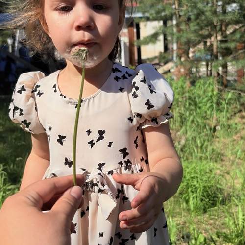 Photo #13702952