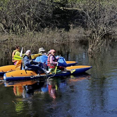 Photo #13703136