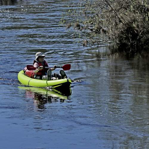 Photo #13703137