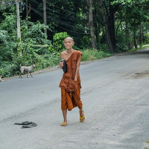 Photo #13703148