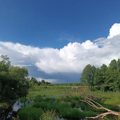 Photo #13703178