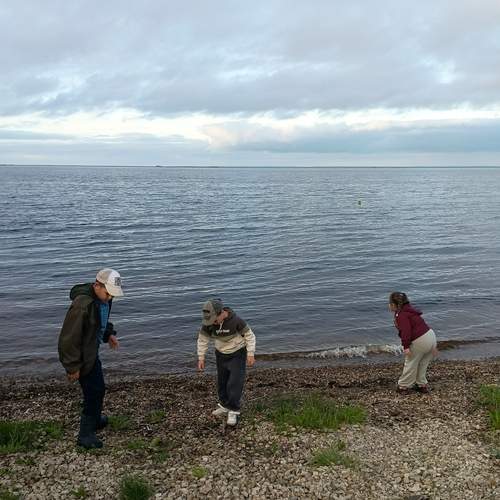 Photo #13703224