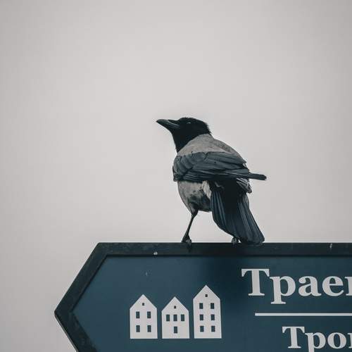 Photo #13703237