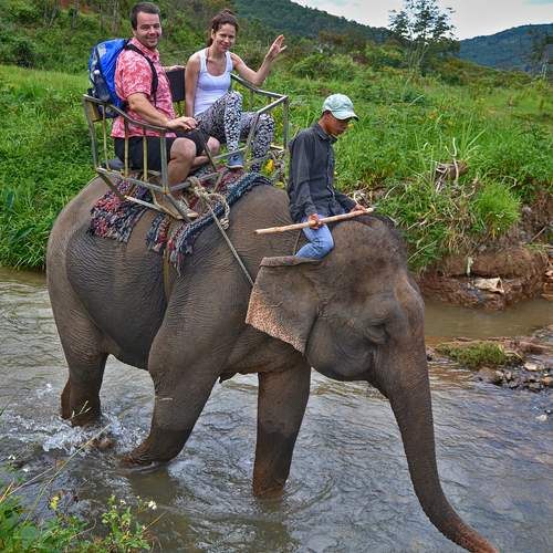 Photo #13703249