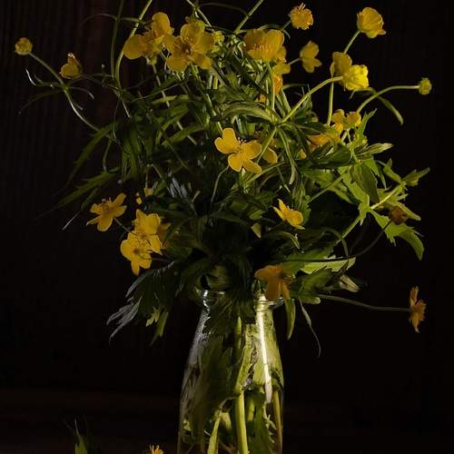 Photo #13703266