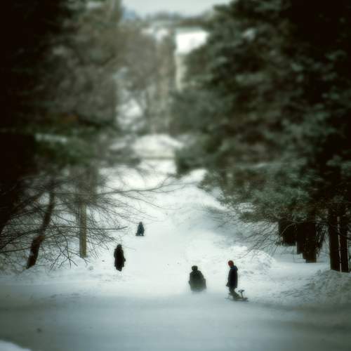 Photo #13703275