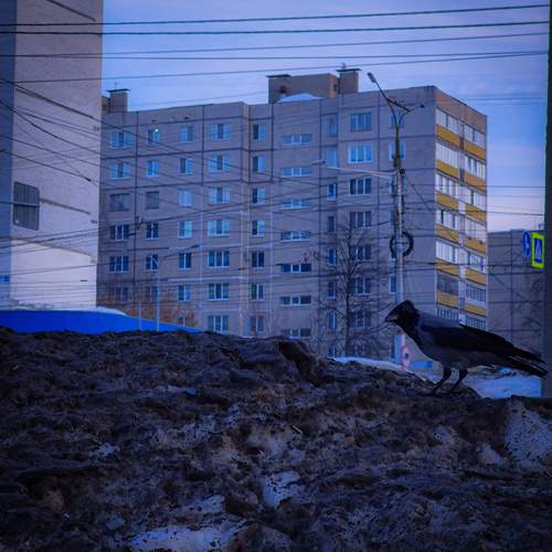 Photo #13703306