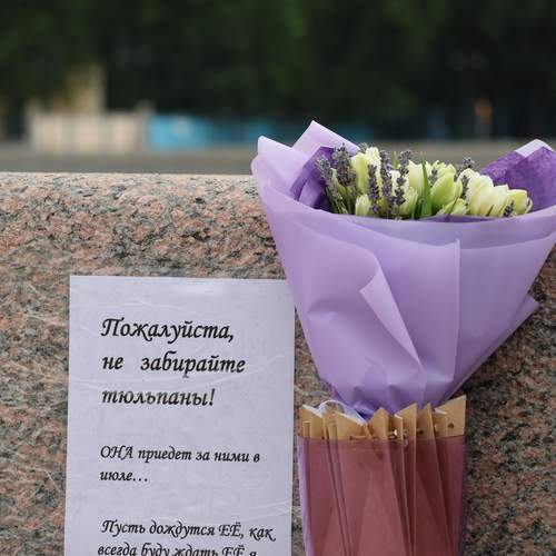 Photo #13703331