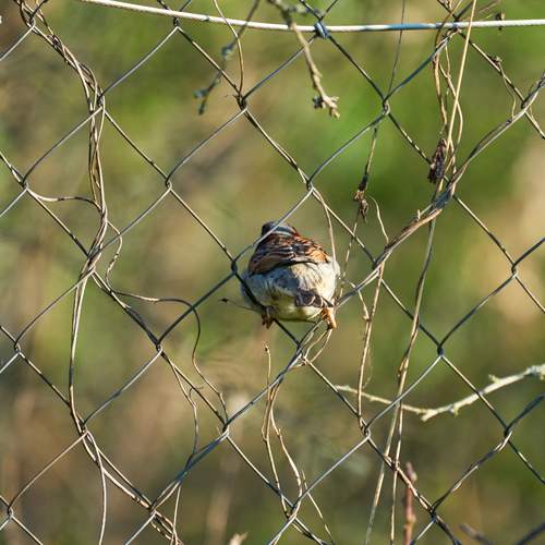 Photo #13703366