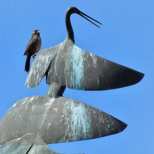 Photo #13703401