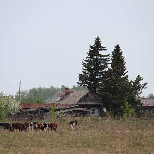 Photo #13703429