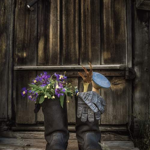 Photo #13703435