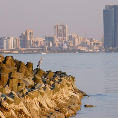 Photo #13703502