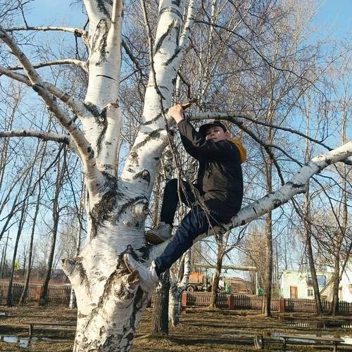 Photo #13703505