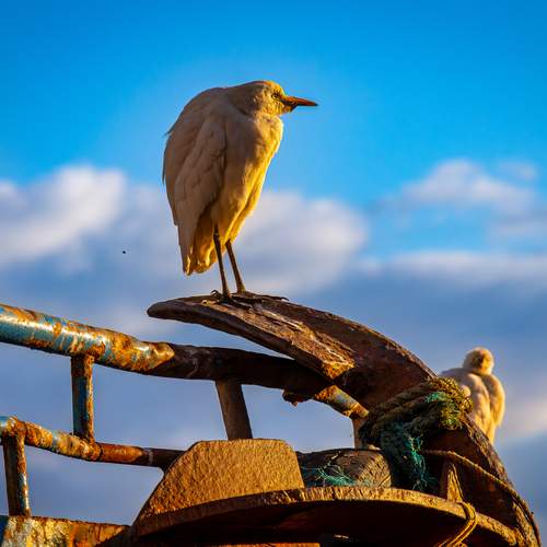Photo #13703547