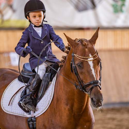 Photo #13703551